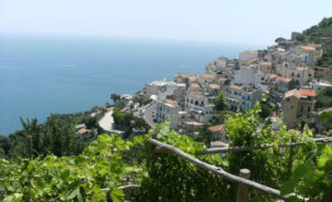 amalfi coast vineyard tour raito
