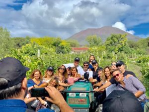 Vesuvius Wine Tour